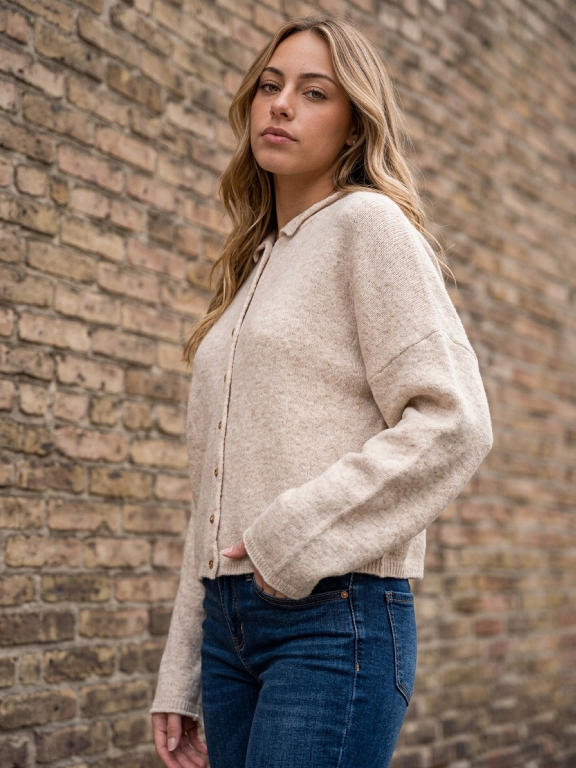 Half collar button down cardi