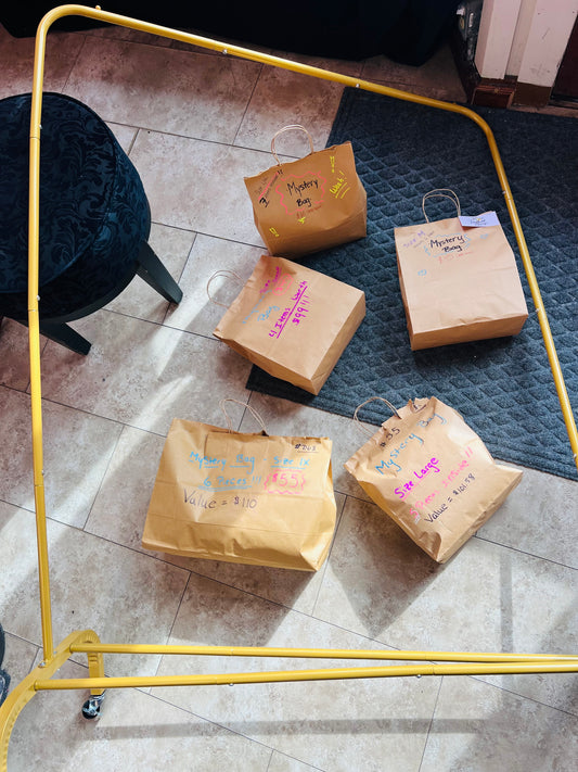 Crime Scene Mystery Bags